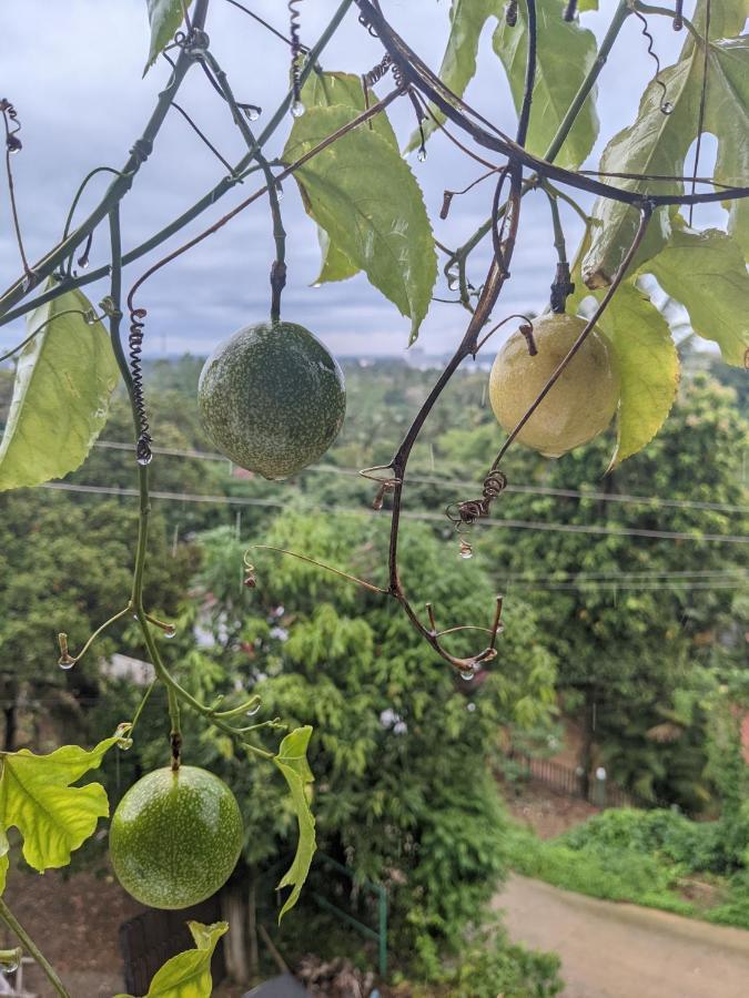Namal Stay Weligama Luaran gambar